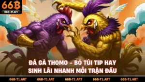 Đá Gà Thomo - Bỏ Túi Tip Hay Sinh Lãi Nhanh Mỗi Trận Đấu