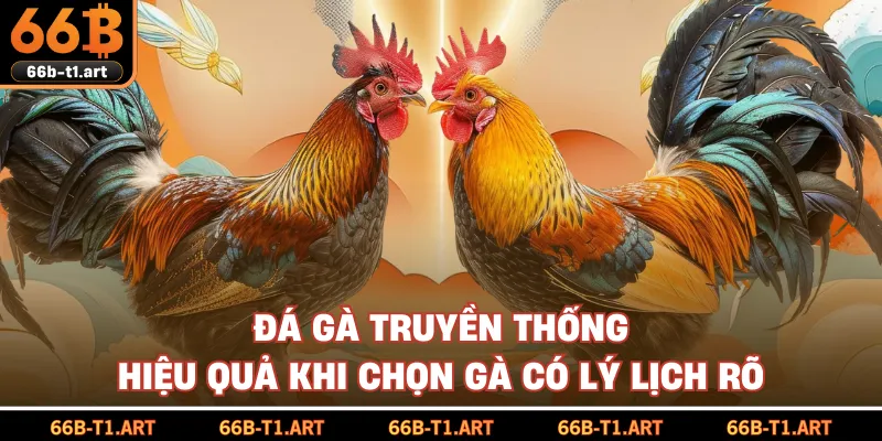 Đá Gà Truyền Thống Hiệu Quả Khi Chọn Gà Có Lý Lịch Rõ